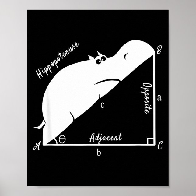 Poster Funny Math Teacher,funny Hiptenuse,geometry Teache (Frente)