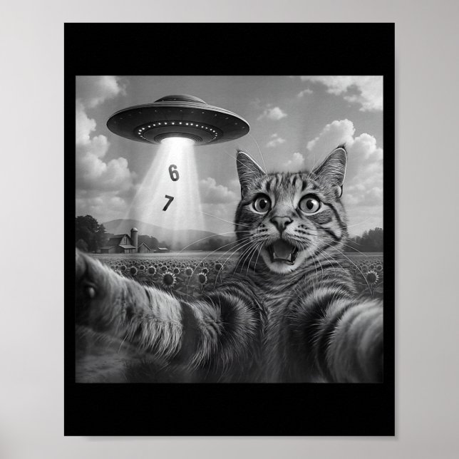 Poster Funny Meme Cat Selfie Six Seven Retro Cat 67 Anima (Frente)