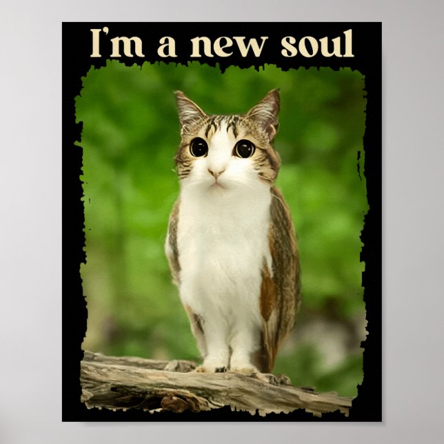 Poster Funny Meowl Meme, Cat Owl Meme Brainrot Gen Alpha  (Frente)