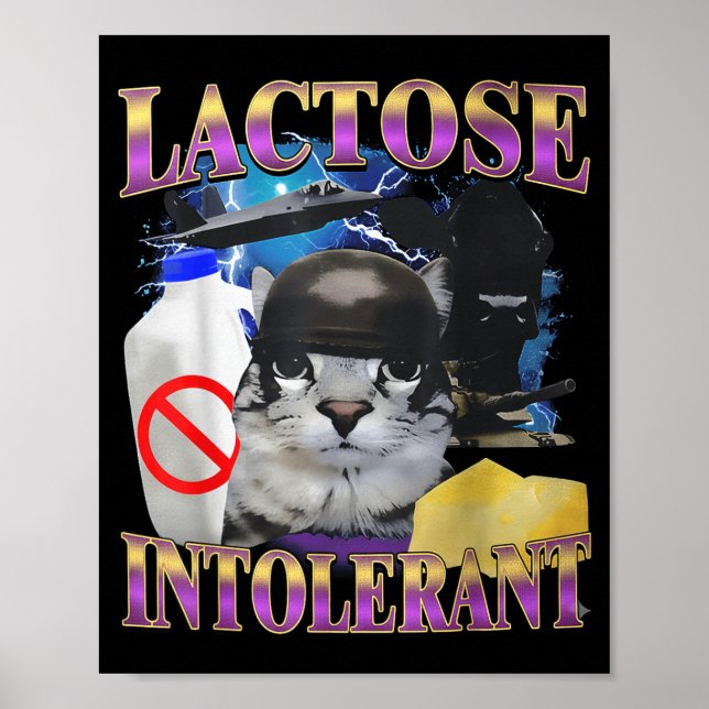 Poster Funny Saying Lactose Intolerant Silly Cat Meme Cat (Frente)