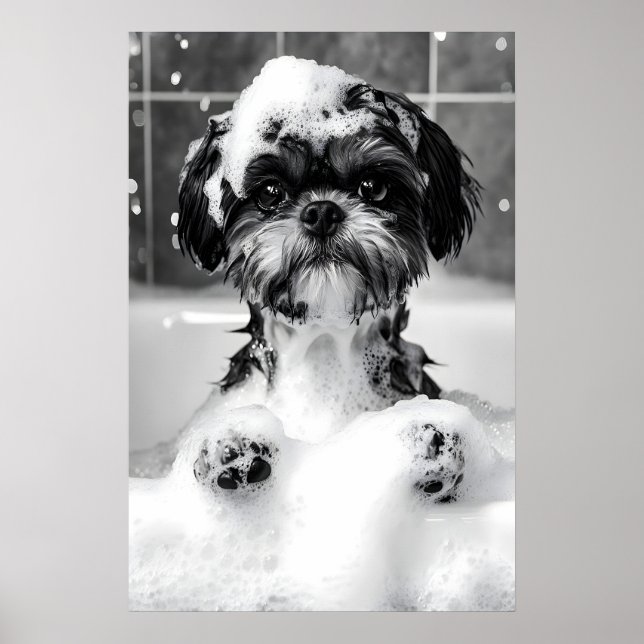 Poster Funny Shih Tzu Bubble Bath Photograph, Dog (Frente)