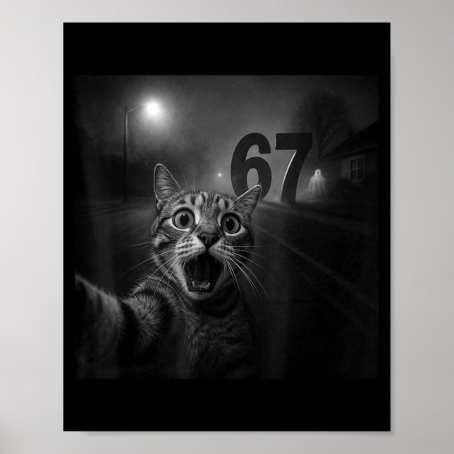 Poster Funny Six Seven 6 7 Meme Gen Z Alpha Slang Cat Sel (Frente)