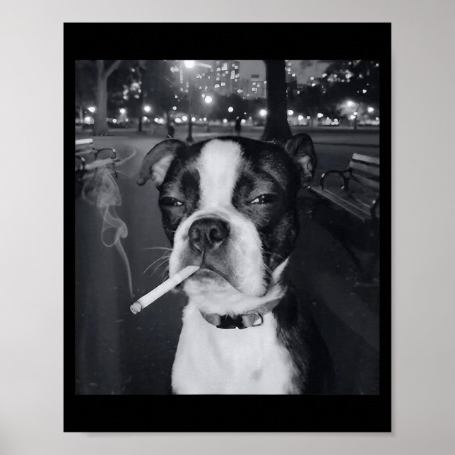 Poster Funny Smoking Dog Meme Cigarette Gen Z Meme Dog Lo (Frente)