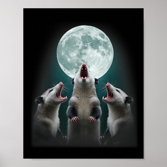 Poster Funny Three Possum Moon _ 3 Ogambm E Morto Moon (Frente)