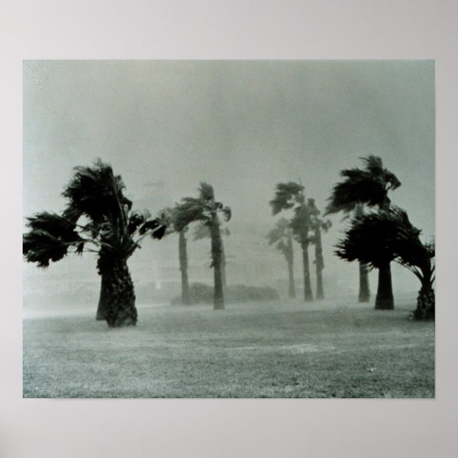 Poster Furacão (Frente)