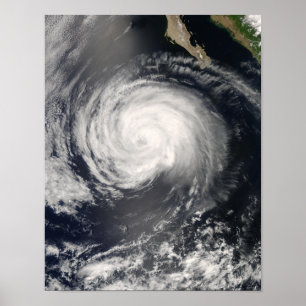 Póster Furacão Fausto