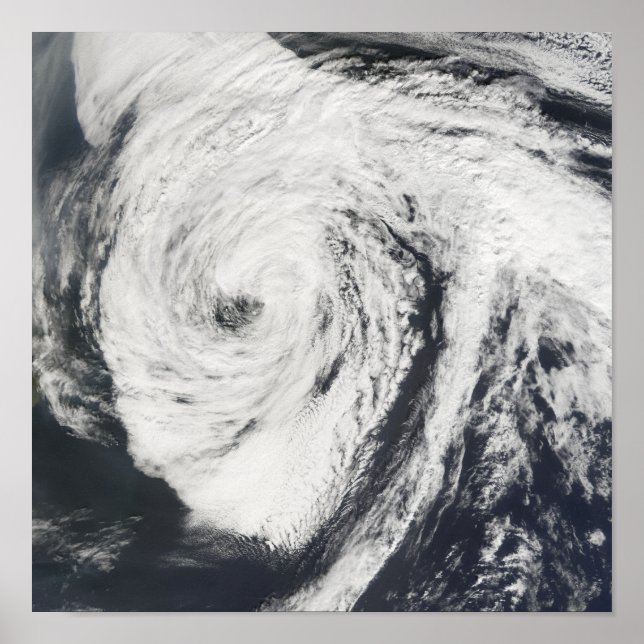 Poster Furacão Florence (Frente)