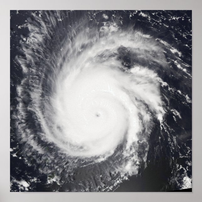 Poster Furacão Frances (Frente)