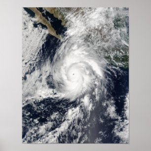 Póster Furacão Kenna 2