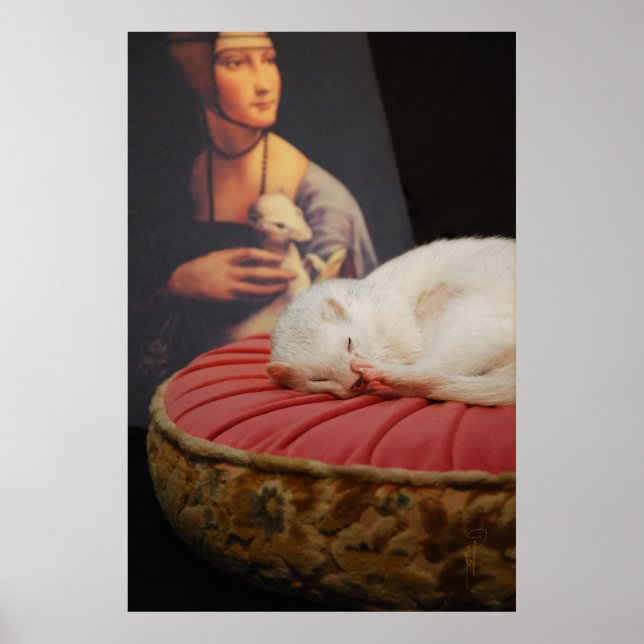 Poster Furet sur coussin rosa II (Frente)