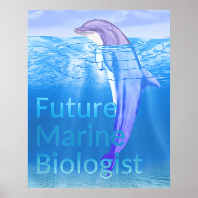 Poster Futuro Biólogo Marinho (Frente)