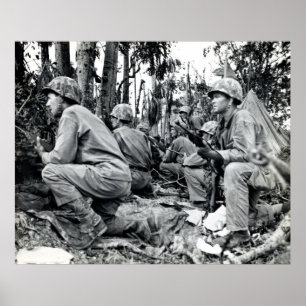 Póster Fuzileiros navais de WWII E.U. em Peleliu