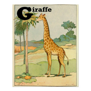 Póster G é para Giraffe Alphabet Animais Perfeitos