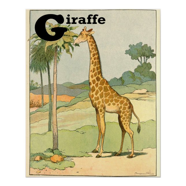 Póster G é para Giraffe Alphabet Animais Perfeitos (Frente)