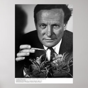 Póster G. Ledyard Stebbins, UC Davis, 1966