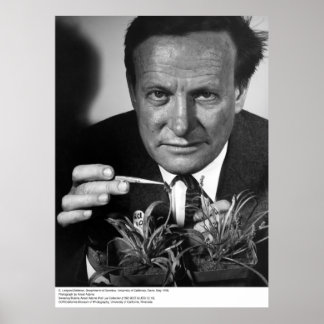 Póster G. Ledyard Stebbins, UC Davis, 1966