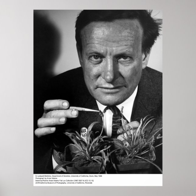 Póster G. Ledyard Stebbins, UC Davis, 1966 (Frente)