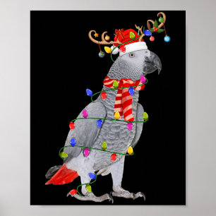 Poster G Papagaio Pássaro das Luzes de Natal Reindeer San