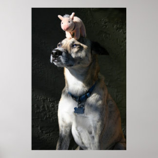 Poster Gabriel pediu bacon para o café da manhã