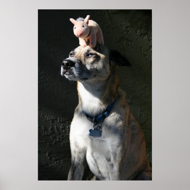 Poster Gabriel pediu bacon para o café da manhã (Frente)