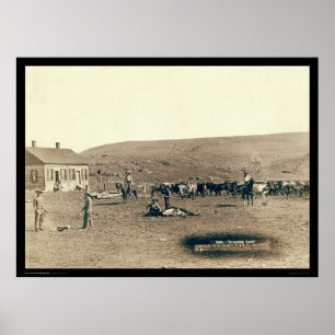 Póster Gado de marcagem com ferro quente SD 1891