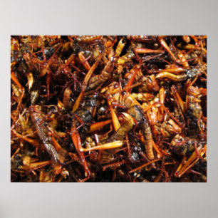 Póster Gafanhoto Frito (Takkataen Thot) Comida Asiática
