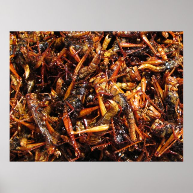Póster Gafanhoto Frito (Takkataen Thot) Comida Asiática (Frente)