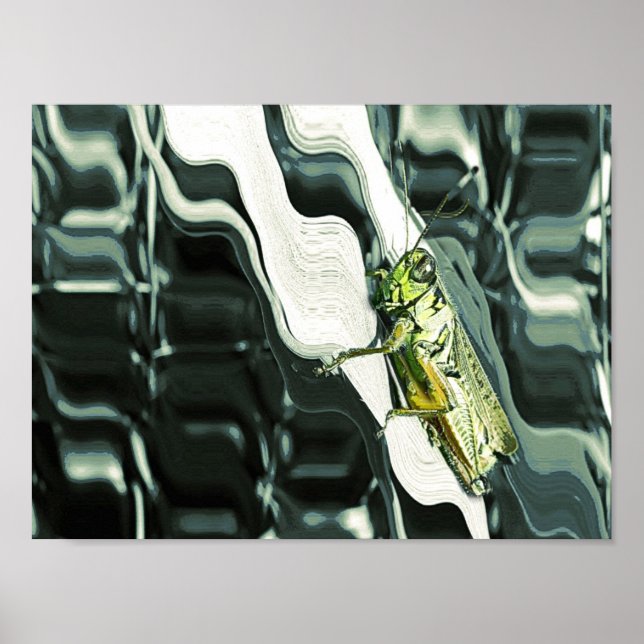 Poster Gafanhoto na Abstrato (Frente)