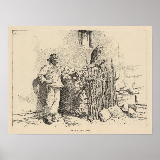 Poster Gaiola de Águia Zuni (Frente)