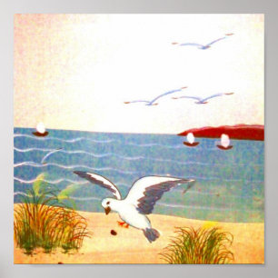 Poster Gaivota