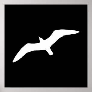 Poster Gaivota branca