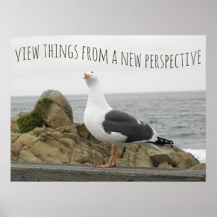 Poster Gaivota da nova perspectiva