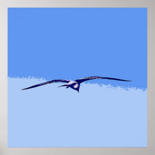 Póster Gaivota de mar em vôo