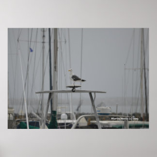 Póster Gaivota em um barco