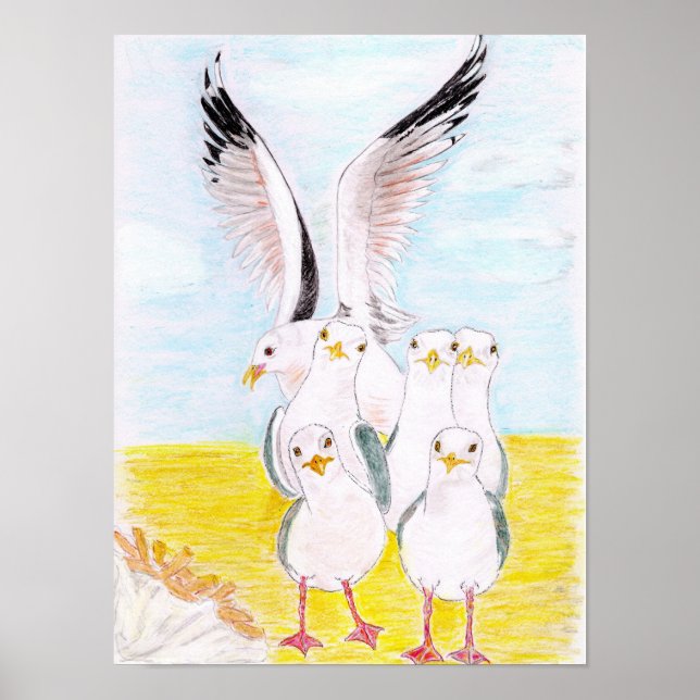 Poster Gaivotas atrevidas  (Frente)