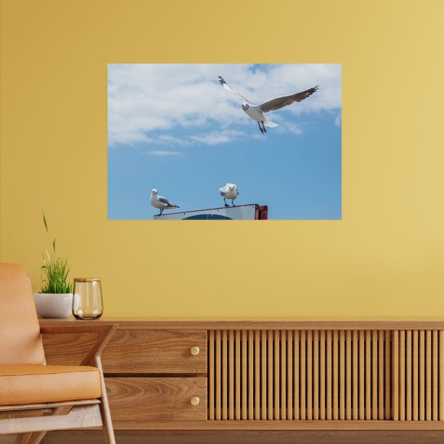 Poster Gaivotas Aves Sentadas Voando Céu Azul (Sala de Estar 2)