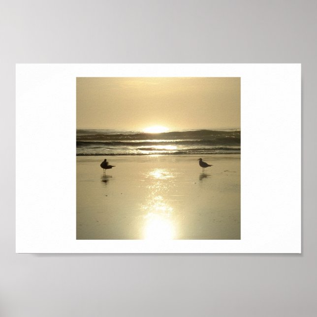 Póster Gaivotas em Daytona (Frente)