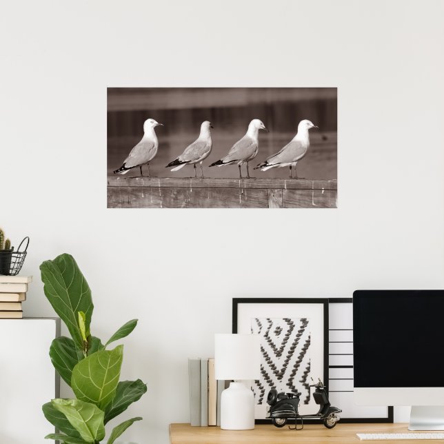 Poster Gaivotas seguidas (Escritório em casa)