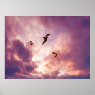 Poster Gaivotas voando num céu de sol