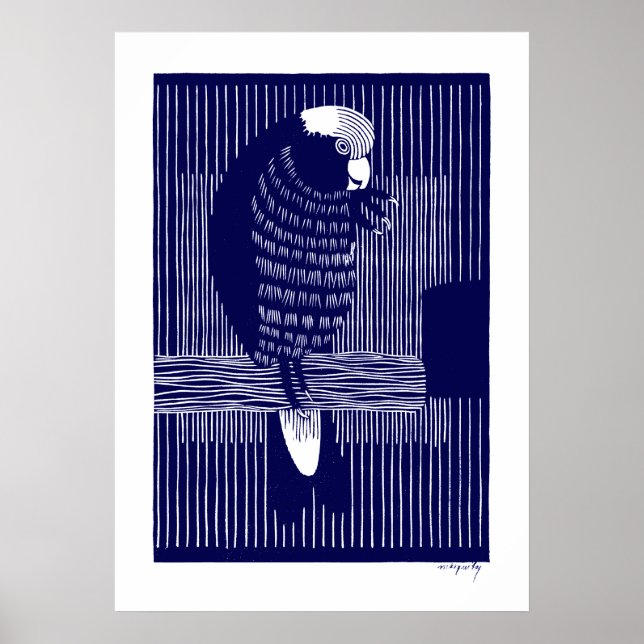 Poster Galah Cockatoos (Rosékaketoe) (Frente)