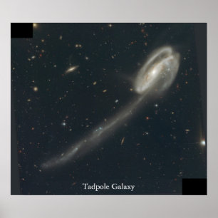 Poster Galáxia do Tadpole