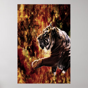 Poster Galáxia do tigre
