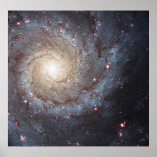 Póster Galáxia Espiral M74