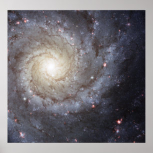 Póster Galáxia Espiral M74