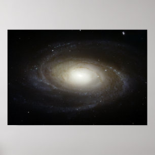 Póster Galáxia Espiral M81