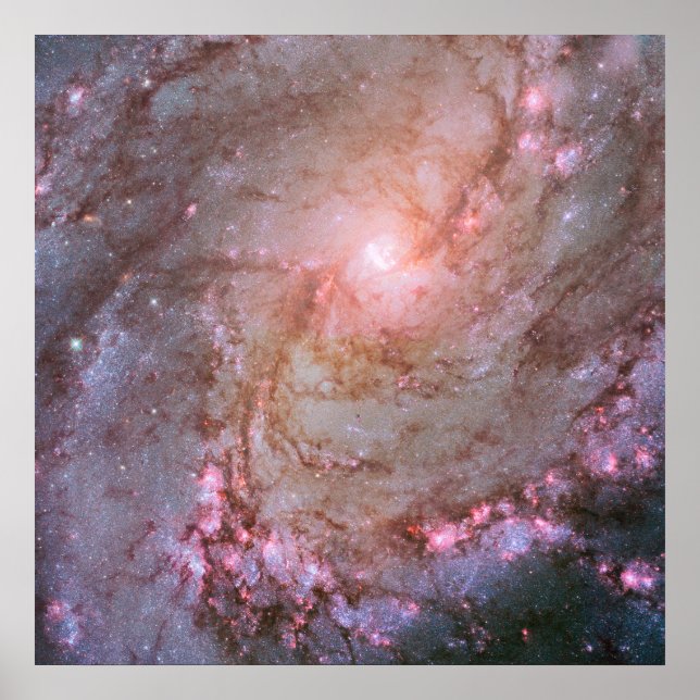 Poster Galáxia Espiral M83, Ablaze Com Formação De Estrel (Frente)