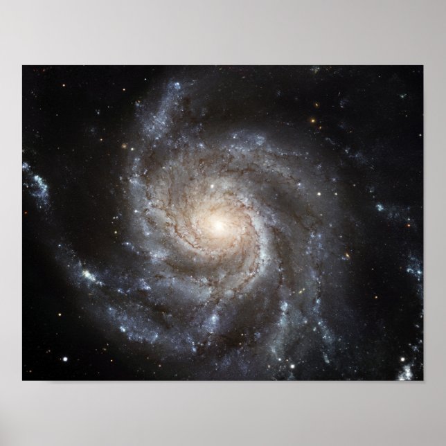 Poster Galáxia espiral Messier 101 (Frente)