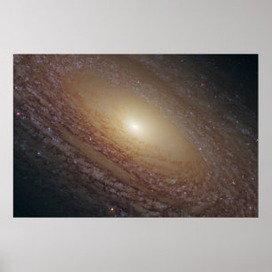 Poster Galáxia Espiral Ngc 2841