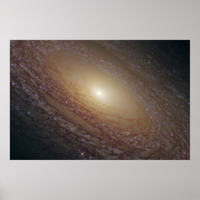 Poster Galáxia Espiral Ngc 2841 (Frente)