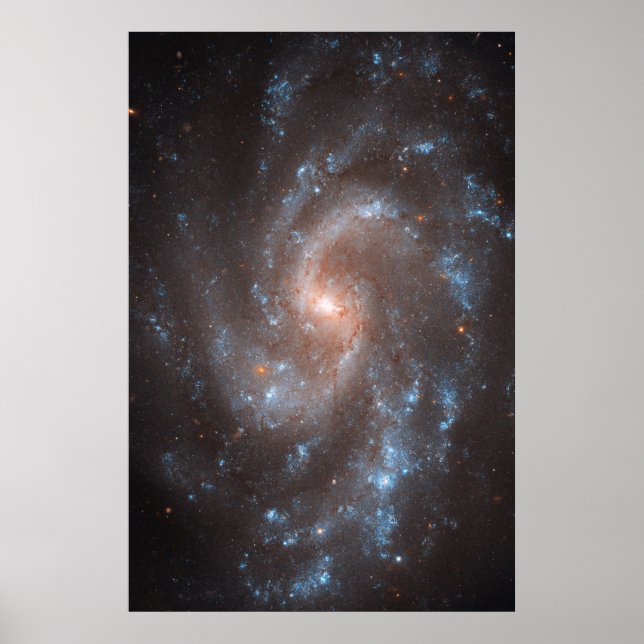 Poster Galáxia Espiral Ngc 5584 (Frente)
